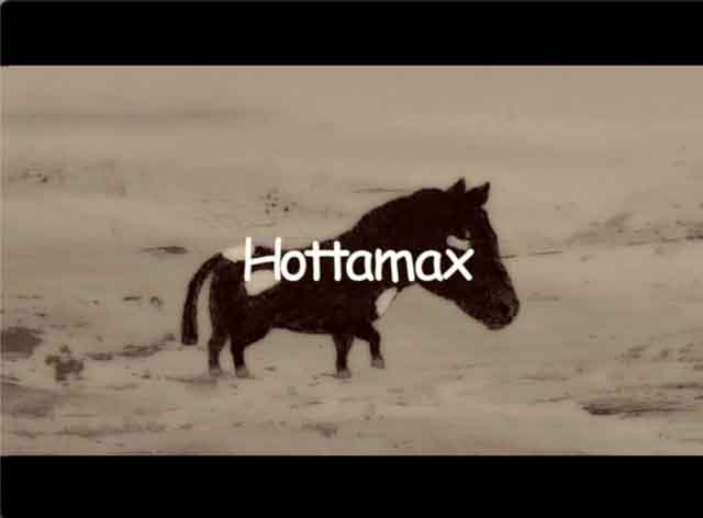 Hottamax